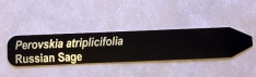 Engraved 6 x 1 inch metal stake